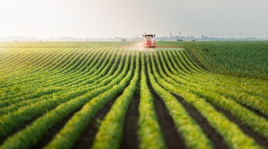 The Role of Farmland Investments in a Diversified Portfolio: Insights by Scott Tominaga